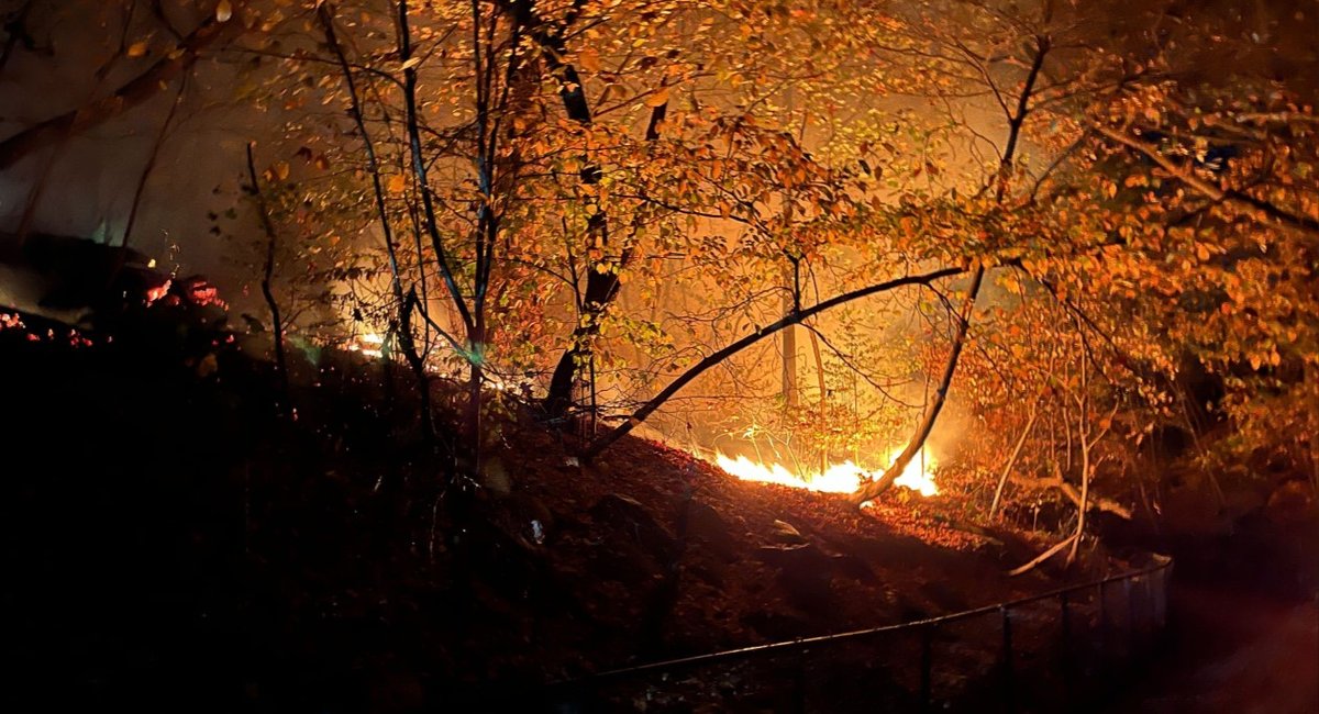 Damage from sprawling Prospect Park brush fire may take years to repair, officials say