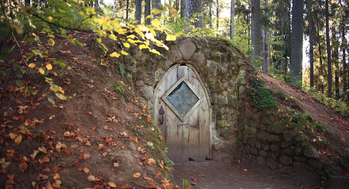 Extra Extra: 'POV: You're living in your little folksy cottage and it's time to gather mushrooms'