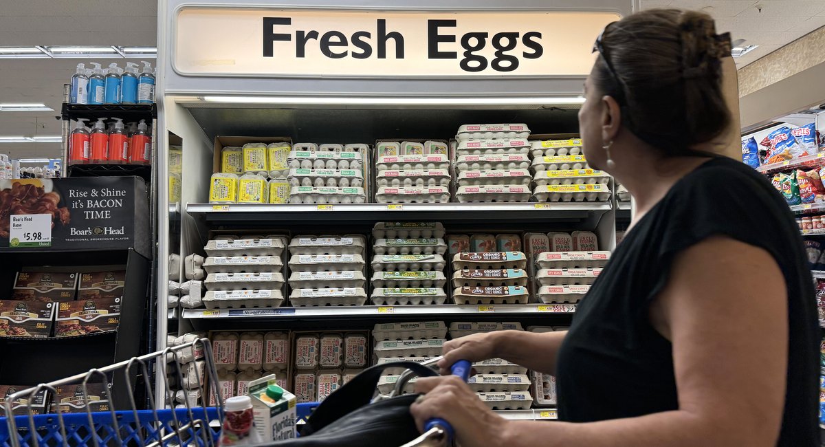 NYC fights federal food aid cuts while study says 2M go hungry statewide