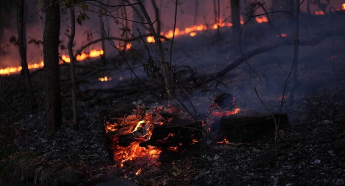 Parks funding stalled in Mayor Adams' budget update, as fires plague green spaces