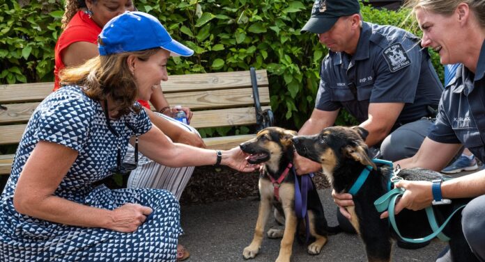 Out, damned Spot: Gov. Hochul vetoes bill to let dogs in all state parks