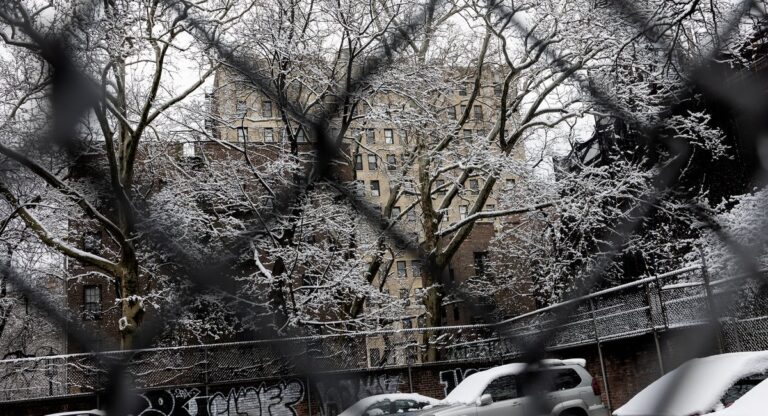 Snow in NYC this week? More like a wintry mix, meteorologists say.